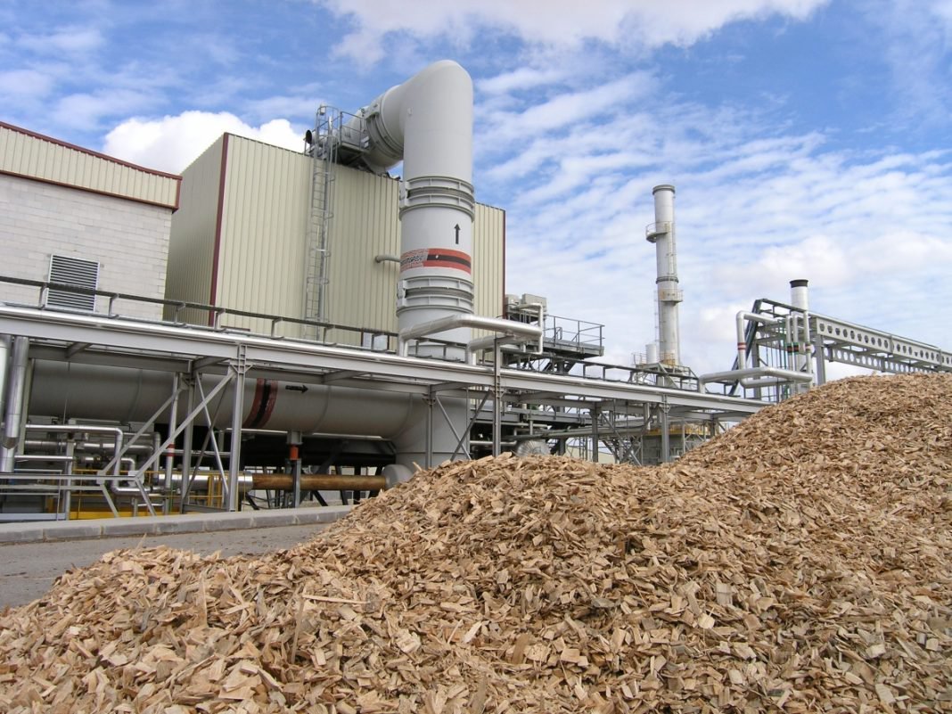 La biomassa, en risc