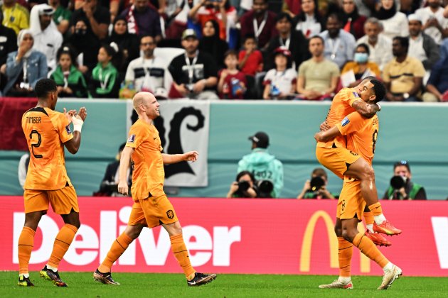 Países Bajos Qatar celebracion gol Cody Gakpo / Foto: EFE