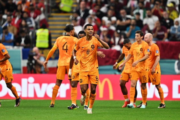 Cody Gakpo celebrando gol Países Bajos Qatar / Foto: EFE