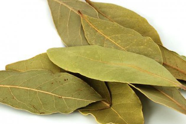 Laurel Laurel
