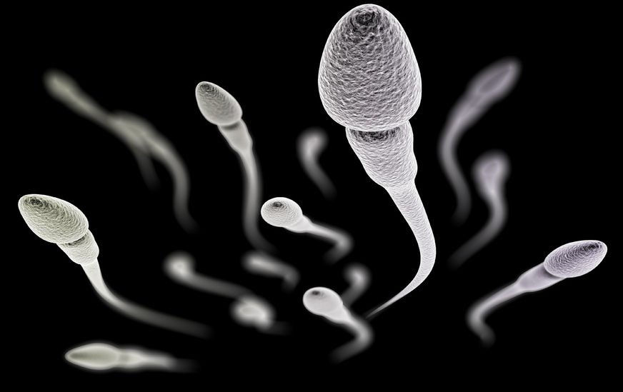 ¿Quieres neutralizar a tus espermatozoides durante un año? Han desarrollado un hidrogel inyectable para ello
