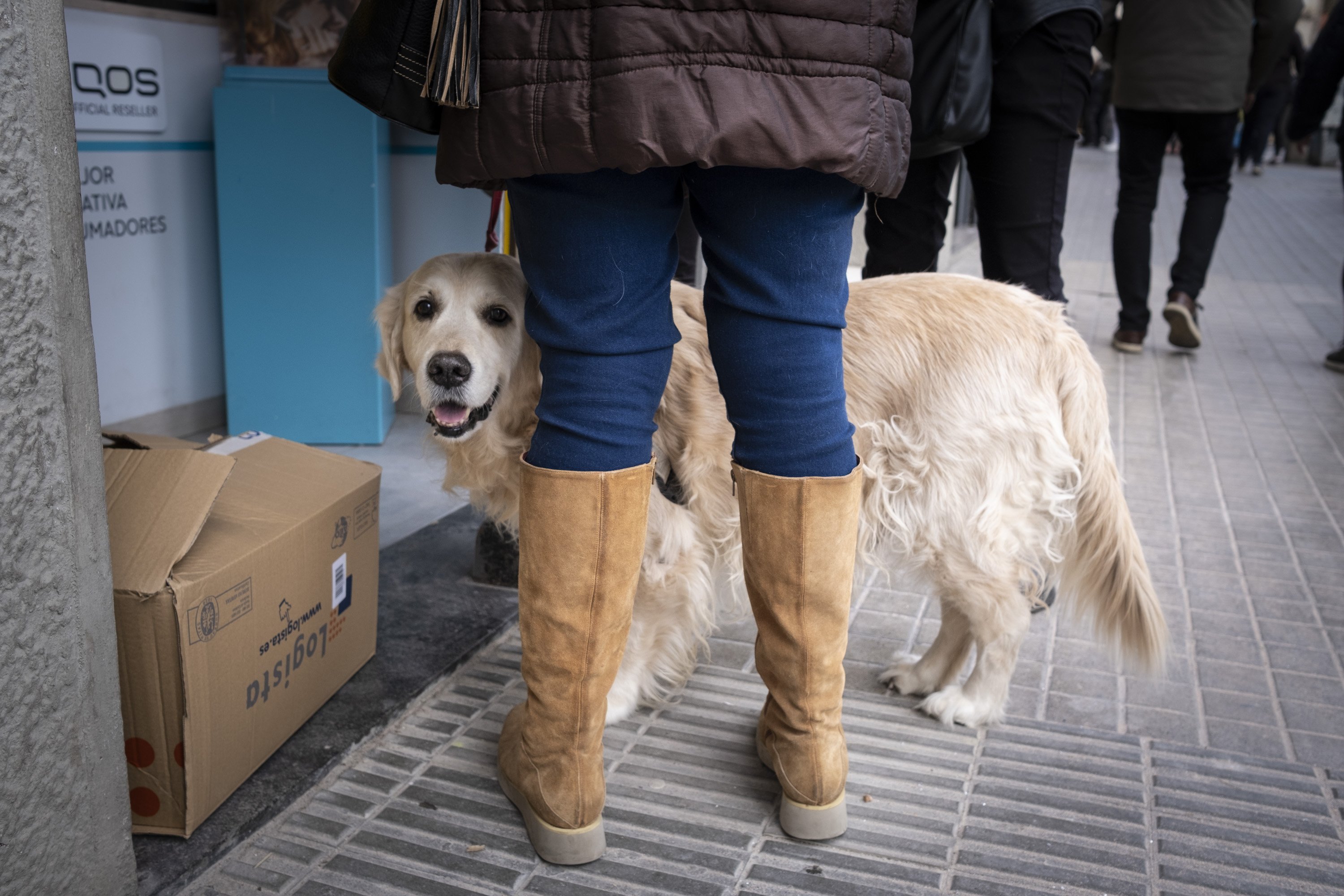 El govern Colau, acusat de “competència deslleial” pel projecte de crematori de gossos