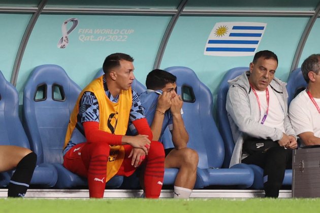 Luis Suarez llorando Uruguay Ghana / Foto: EFE