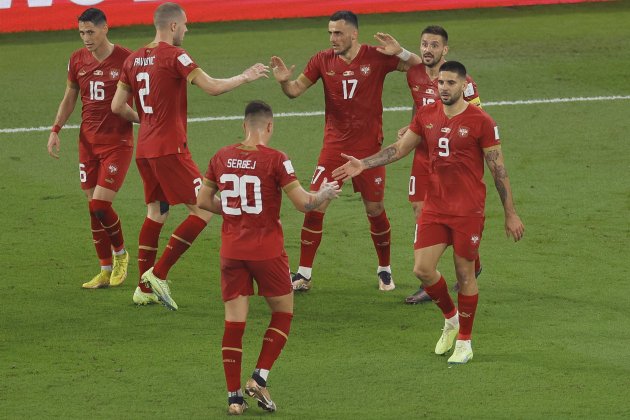 Serbia celebrando un gol / Foto: EFE Serbia celebrando un gol / Foto: EFE