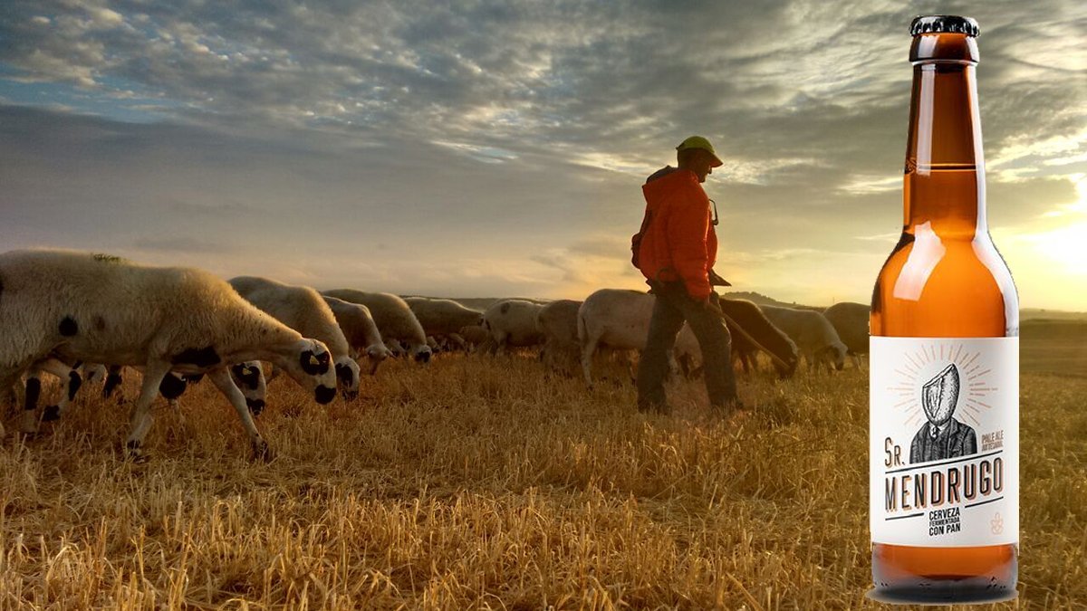 Sr. Mendrugo: la cervesa d'Aranda de Duero que s'elabora amb pa i ajuda a alimentar les ovelles