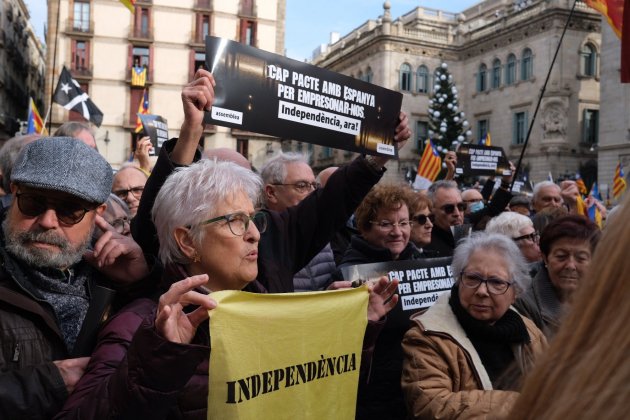 Manifestació 6-D  / Carlos Baglietto