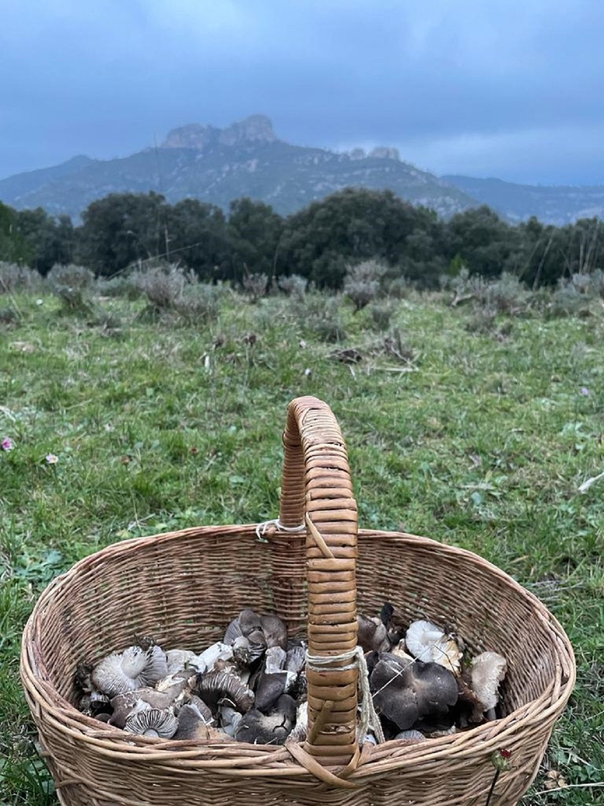 Fredolics Baix Maestrat Foto Frederic Verge