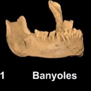 La mandíbula de Banyoles perteneció al primer Homo Sapiens de Europa