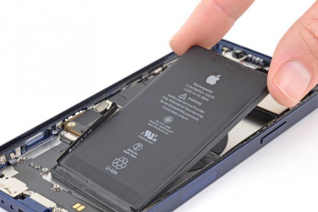 Apple Apple