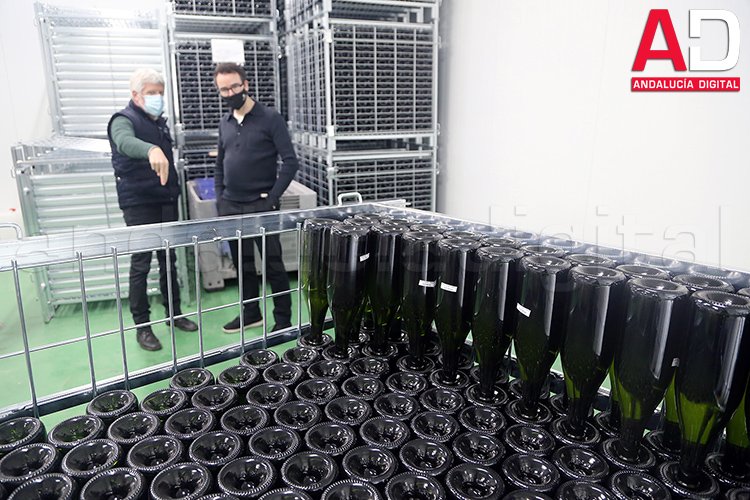 Escumosos amb criança de 36 mesos elaborats amb raïm Pedro Ximénez