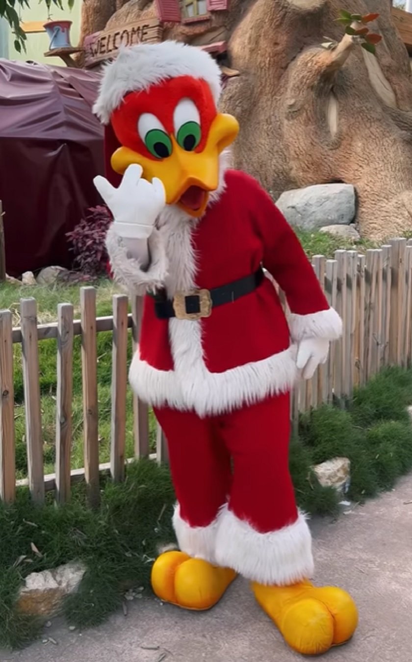 Ocell Boig, Portaventura IG