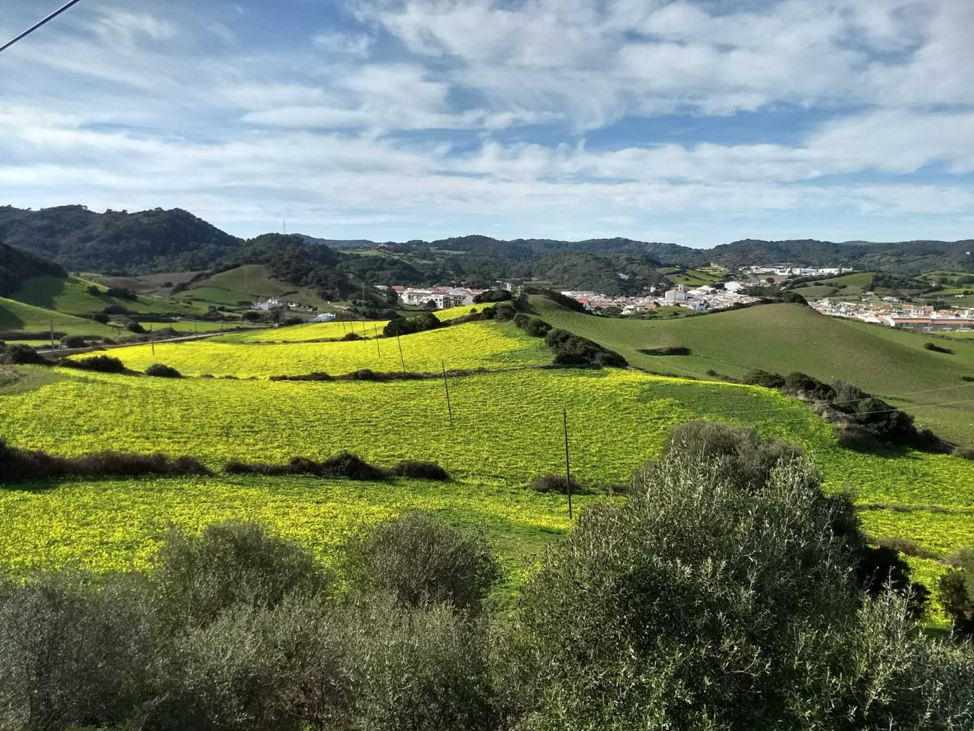 Quins són els últims reductes dels Països Catalans on Garcia no és el cognom més freqüent?