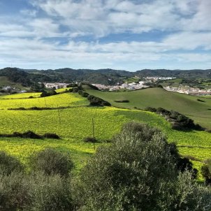 Quins són els últims reductes dels Països Catalans on Garcia no és el cognom més freqüent?