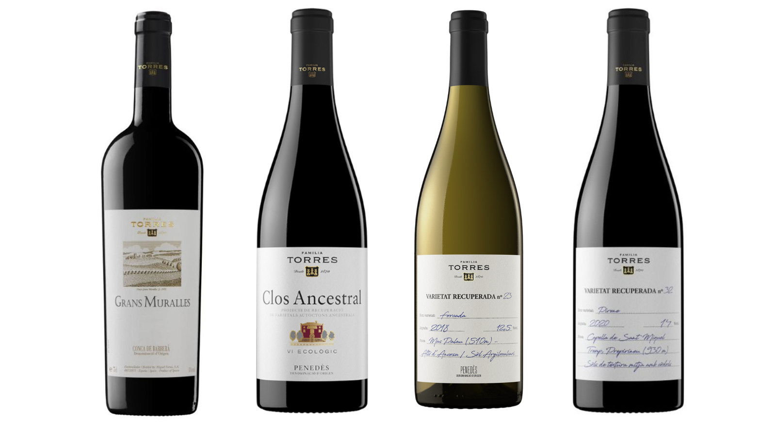 Quatre vins excelsos i per a tots els gustos.