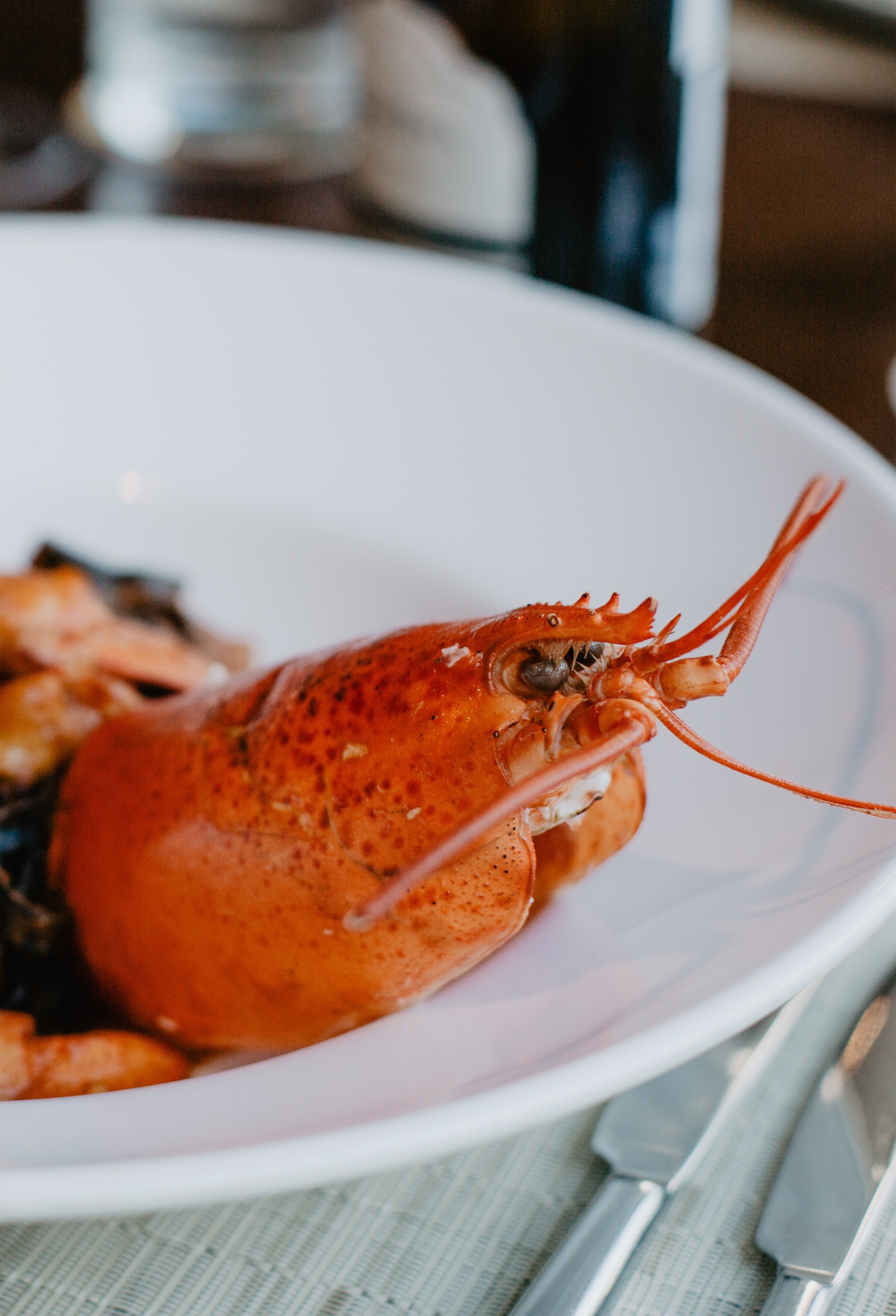 Plat de marisc amb llagosta / Foto: Pexels Plat de marisc amb llagosta / Foto: Pexels