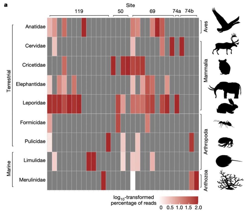 Diversidad genética especies|especias