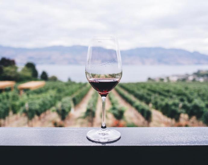 Copa de vi / Foto: Unsplash Copa de vi / Foto: Unsplash