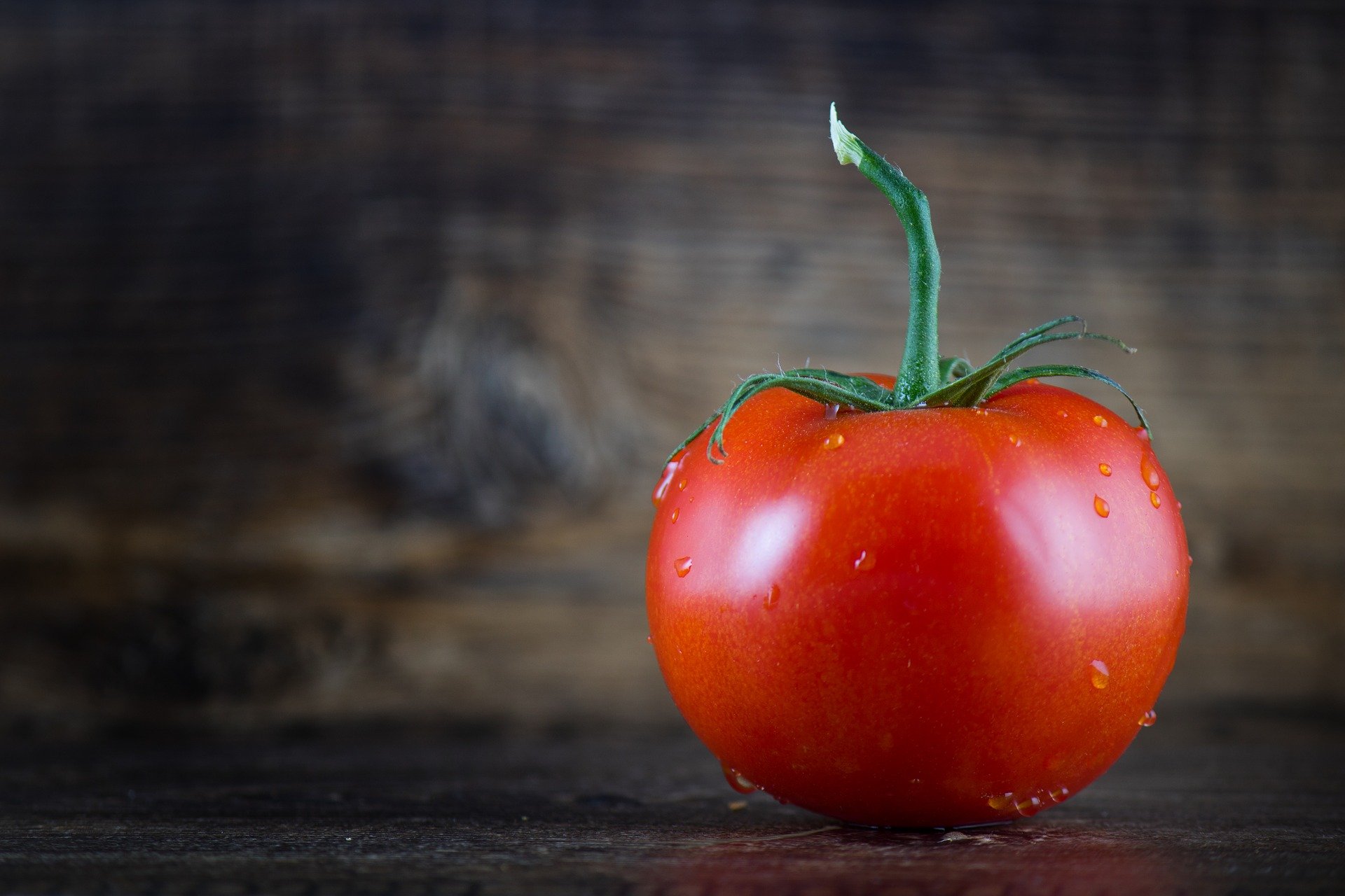 'El imperio del oro rojo': todo aquello que nunca querría saber sobre el tomate