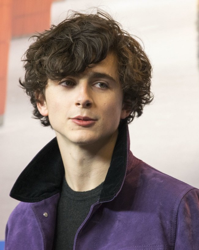 Timothée Chalamet at Berlinale 2017 (cropped)