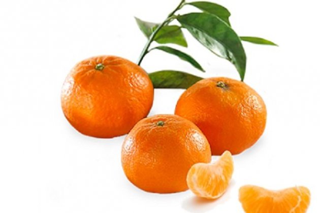 Clementines de Terres de l'Ebre Clementines de Terres de l'Ebre