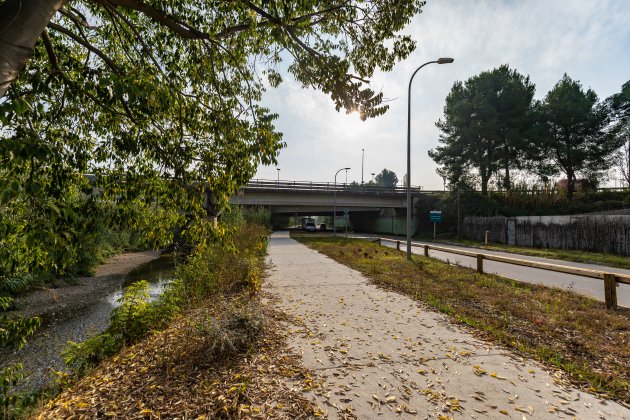 àmbit fluvial riu Sec Cerdanyola del Vallès àmbit fluvial riu Sec Cerdanyola del Vallès