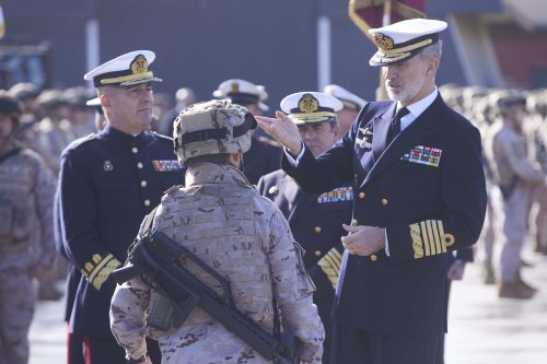 Militar español y Felipe VI / Europa Press