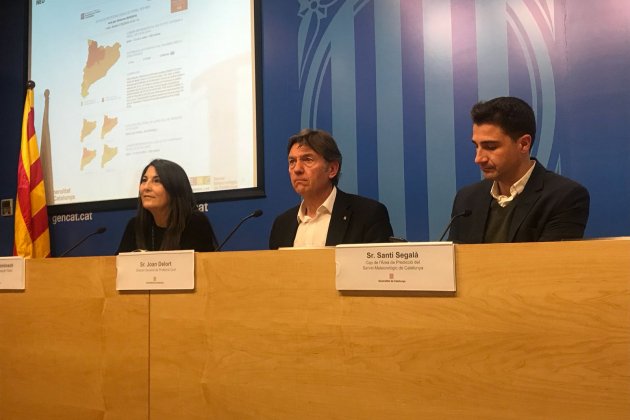 rdp comitè temporal Gemma Liñán rdp comitè temporal Gemma Liñán