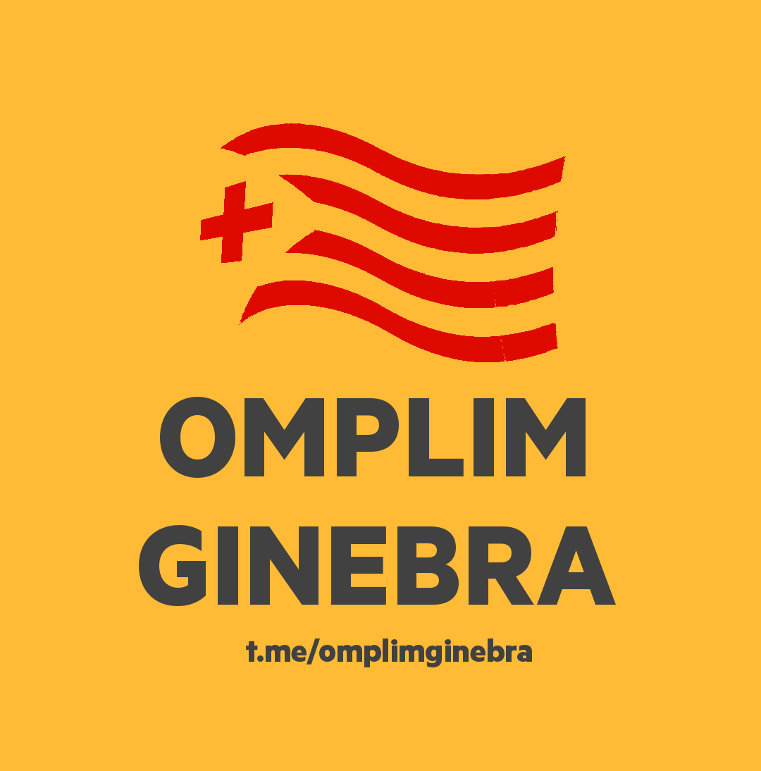 'Omplim Ginebra': la iniciativa ciutadana que vol repetir una gran manifestació, ara a l'ONU