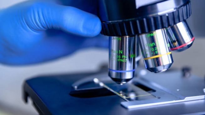 como se usa un microscopio y para que se utiliza 655x368