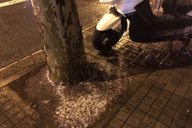 Santos nieve Marta EM2