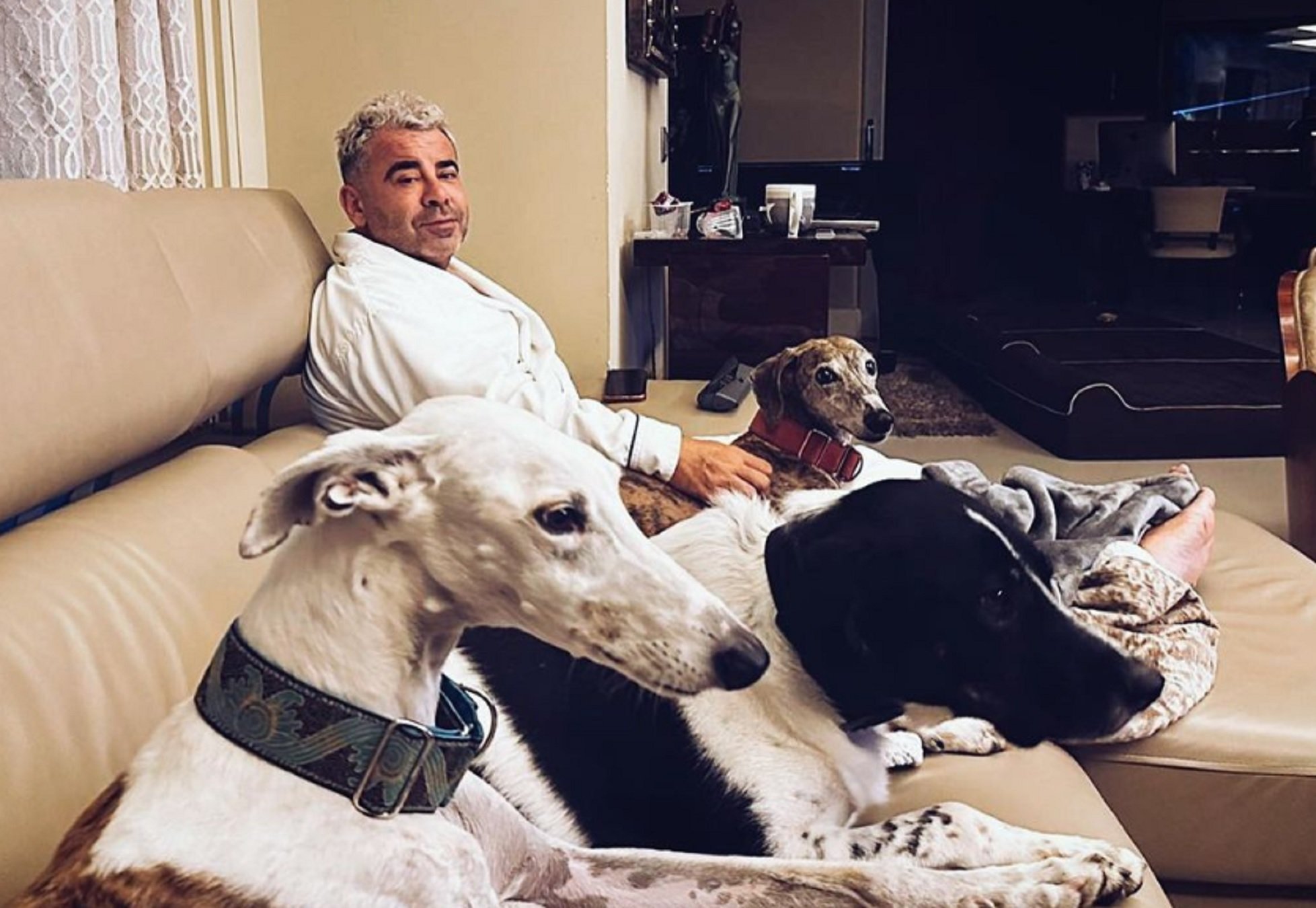 Jorge Javier, amb gossos Instagram