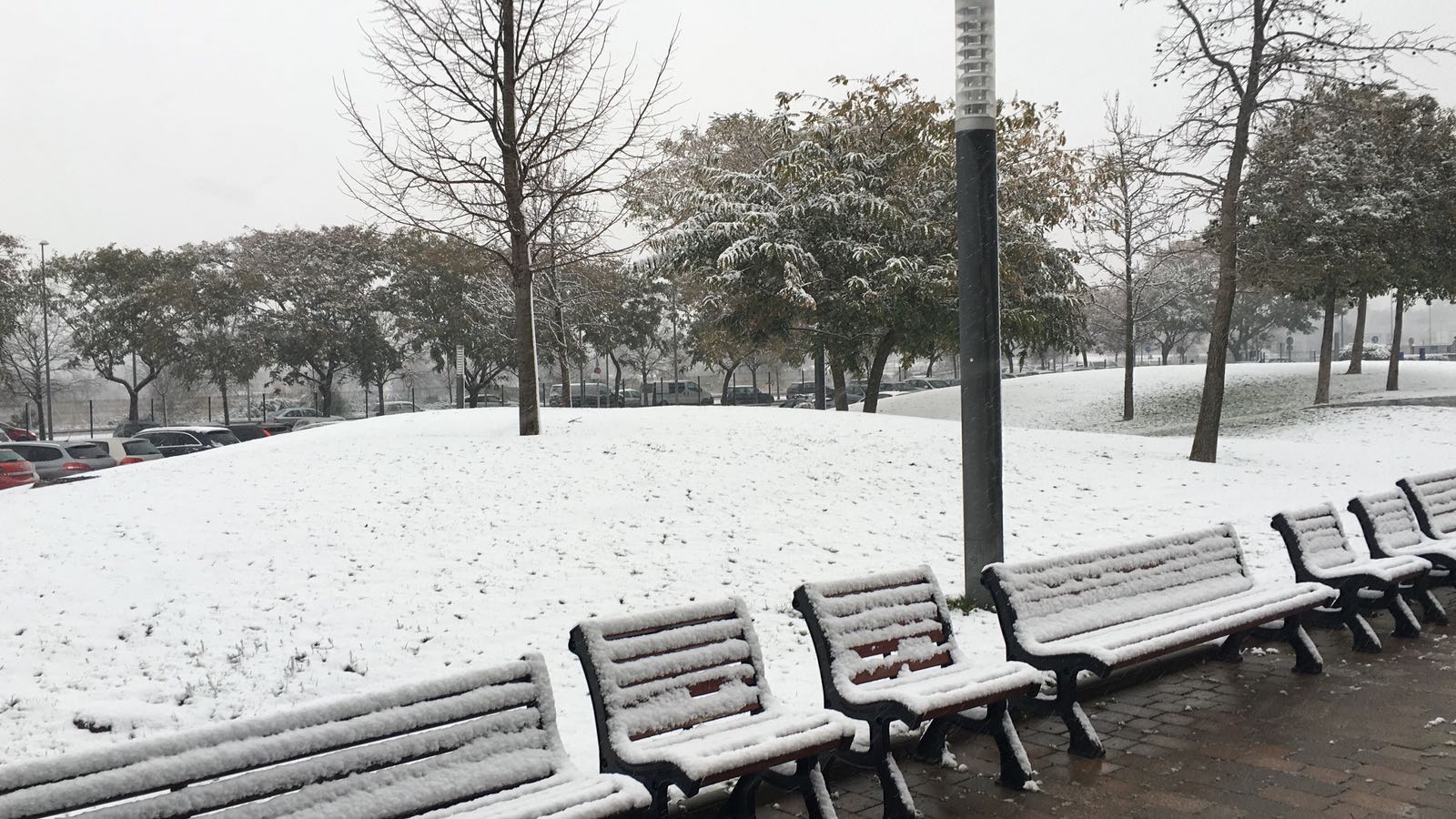 La pluja desfarà la neu