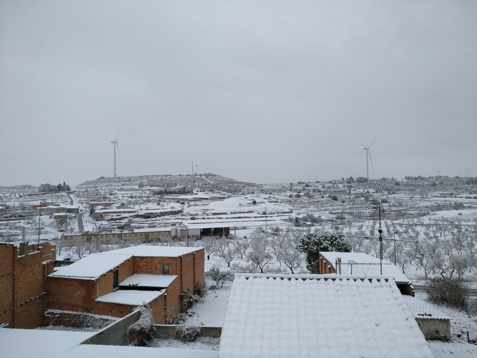 622 49 62 25: Envíanos tu foto de la nevada