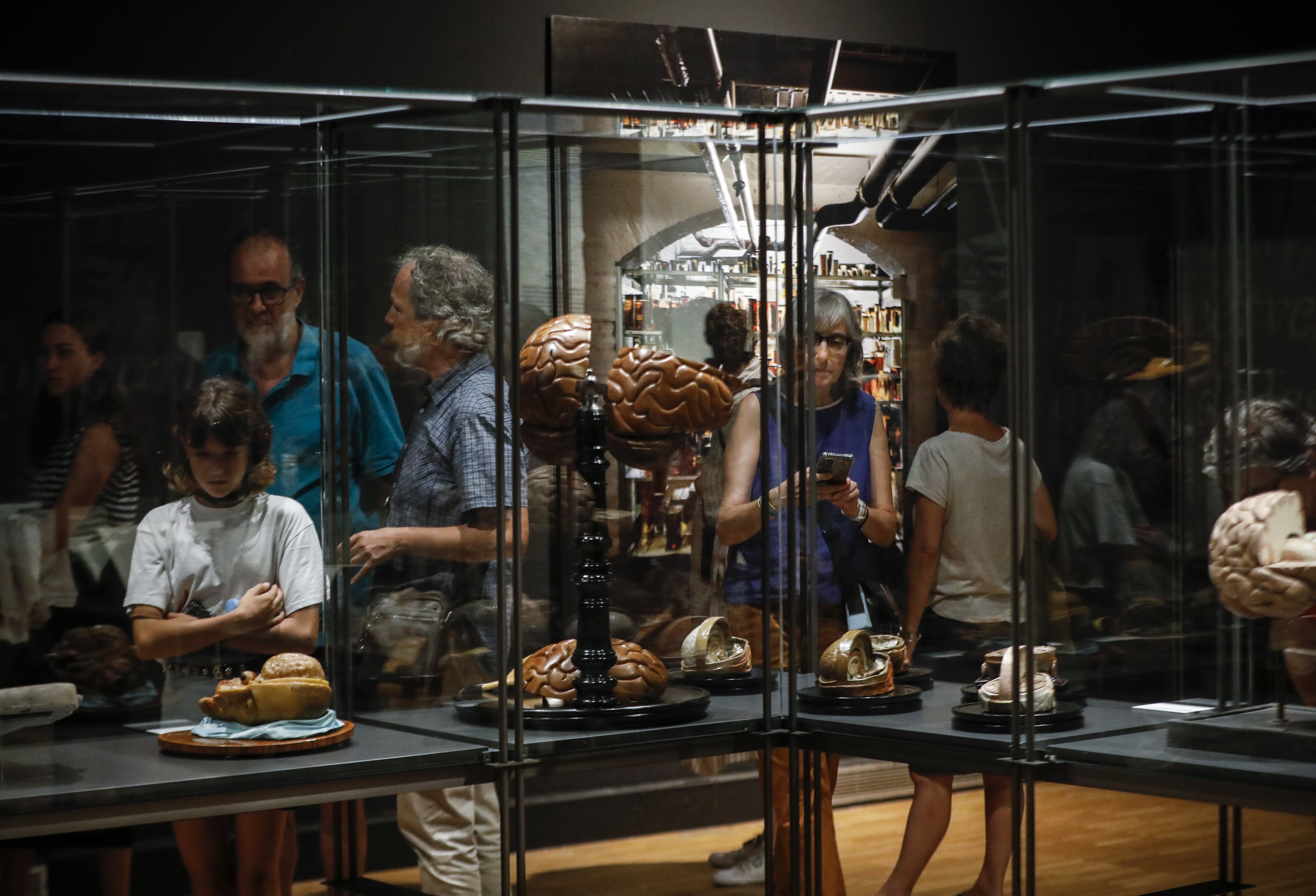 'Cervell(s)' i més enllà