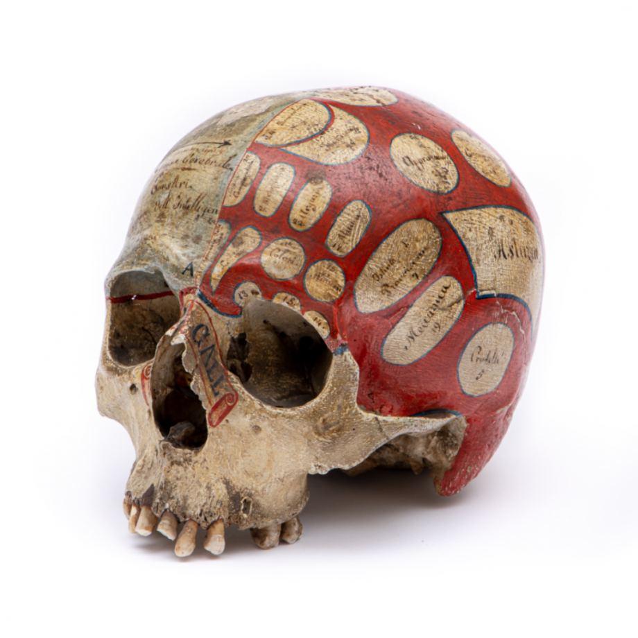 Diseño sin título (1) Diseño sin título (1)