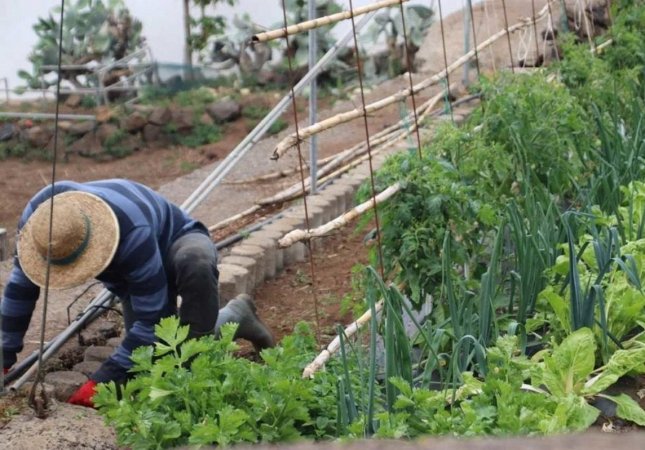 Agricultor / Foto: Europa Presss