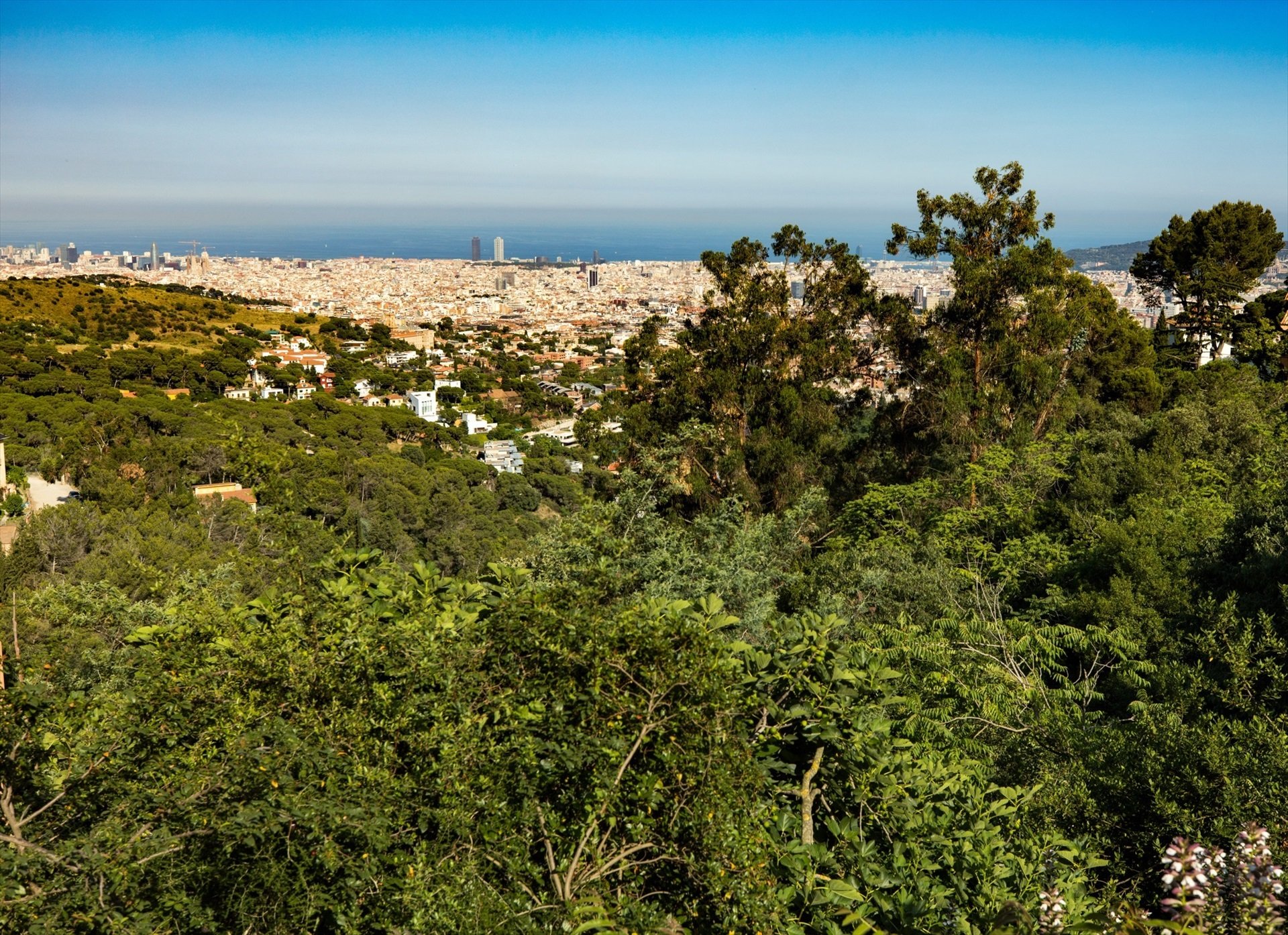 Creus que s'han d'adoptar més mesures contra la contaminació?