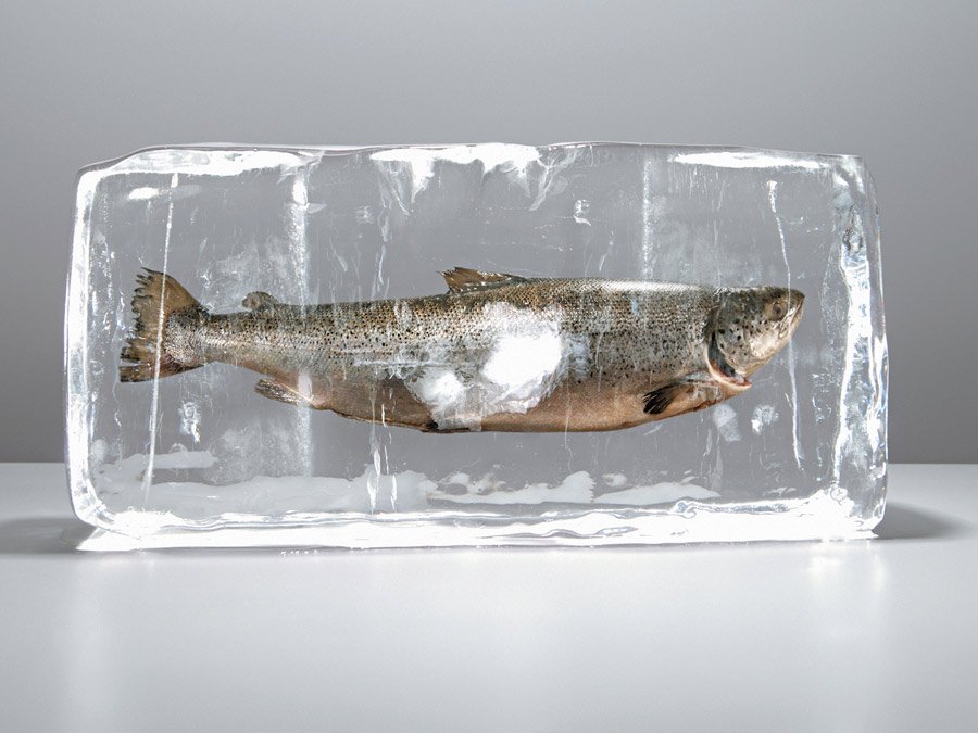 Descongela así el pescado y te sorprenderá