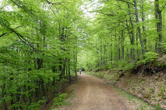 camí|senda pedregós brañlosera