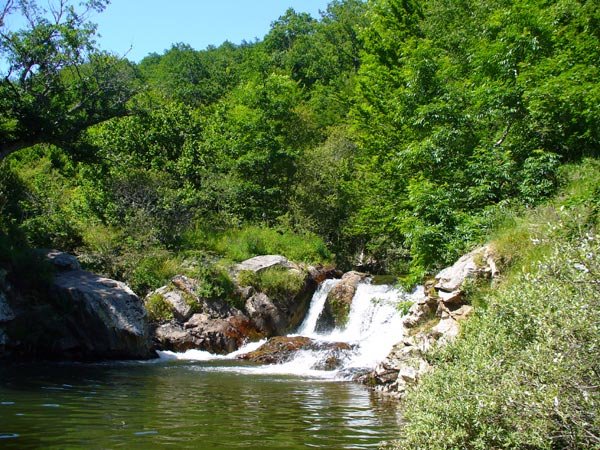 El Govern aprova noves directrius per millorar la gestió forestal