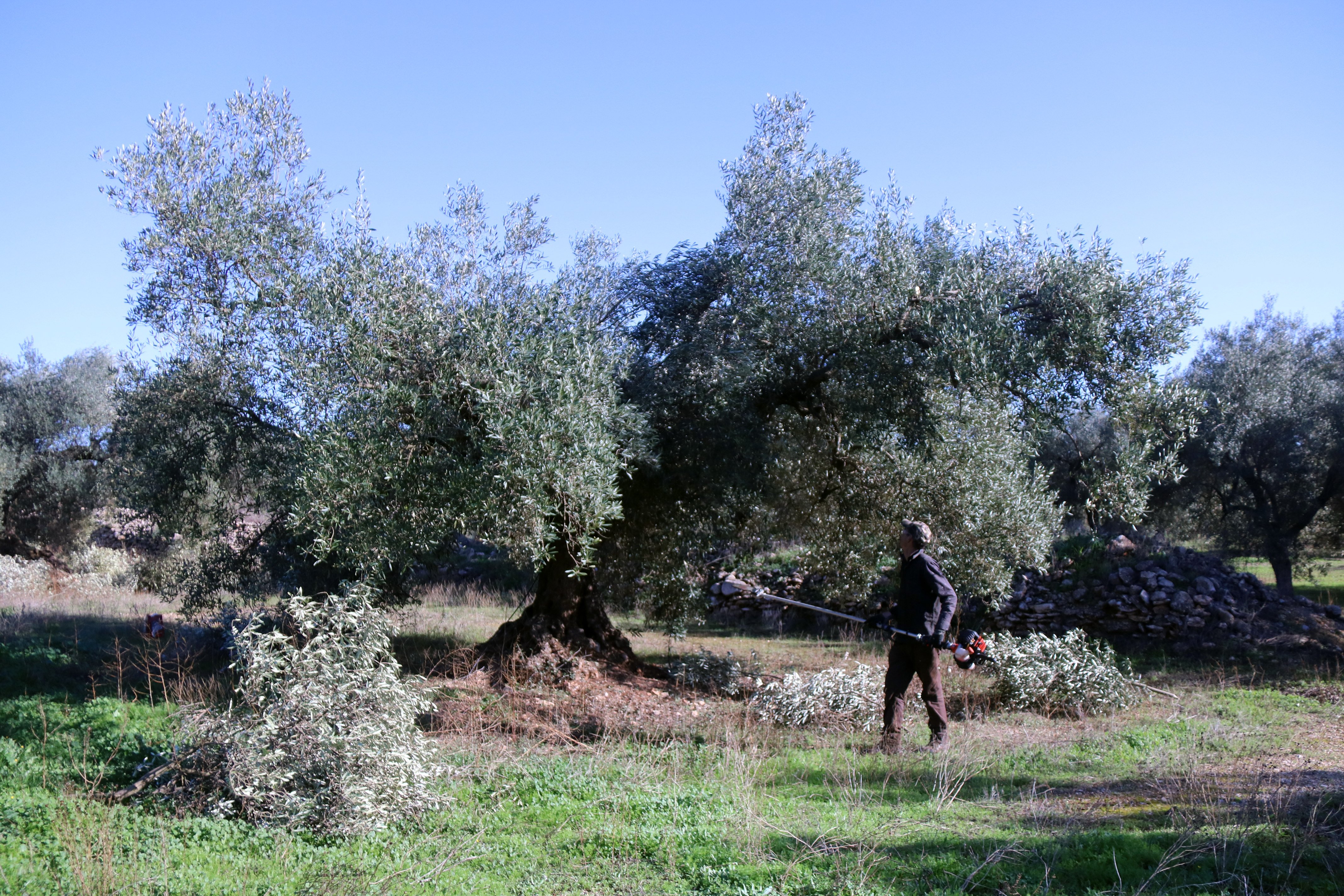 Finca de Sant Rafel del Riu / Foto: Jordi Marsal