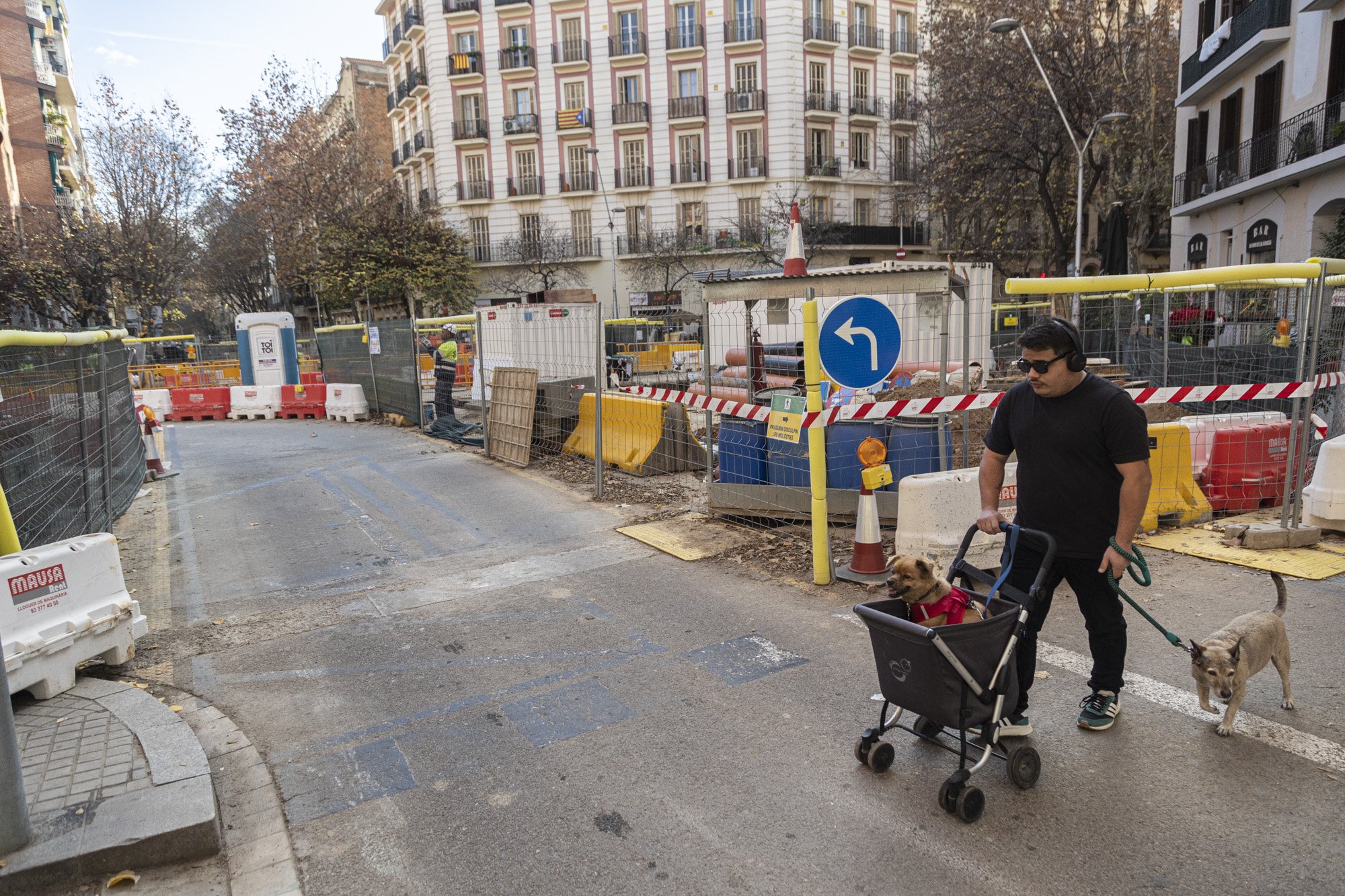 OBRES CONSELL DE CENT ROCAFORT gossos / Foto: Montse Giralt