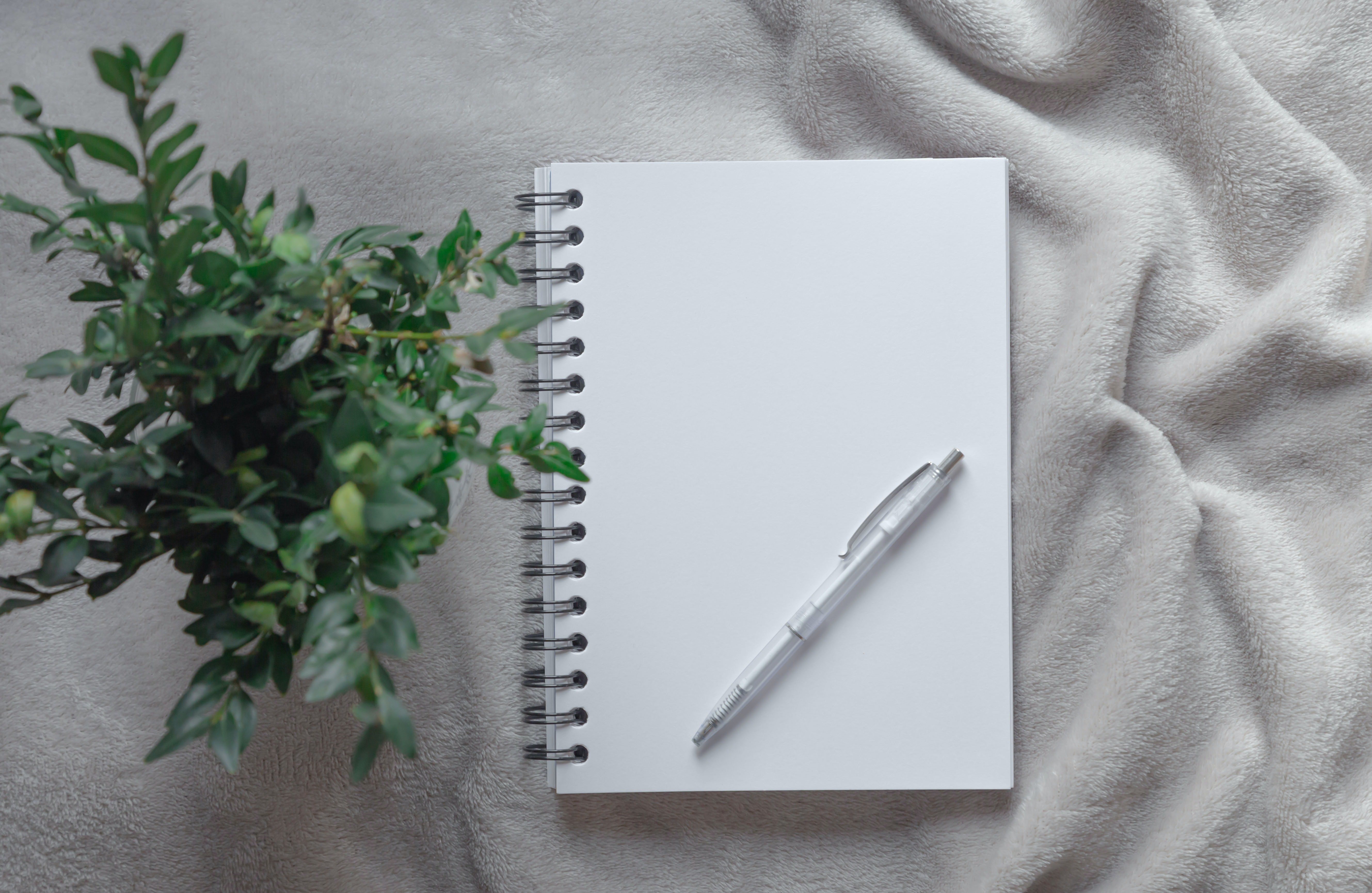 Agenda en blanco / Foto: Unsplash