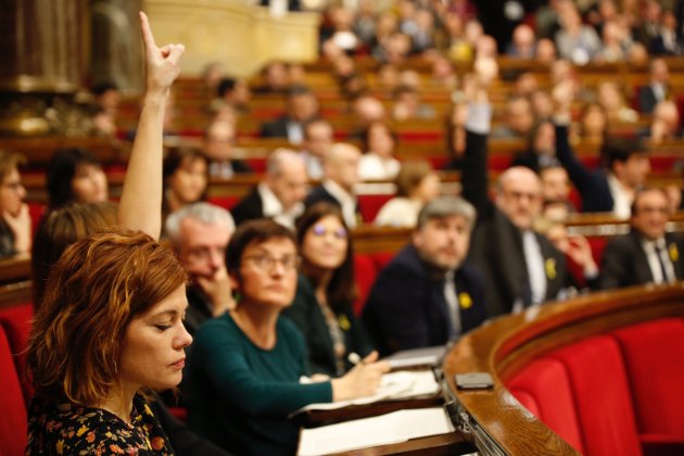 Alamany votació Parlament / Sergi Alcàzar Alamany votació Parlament / Sergi Alcàzar