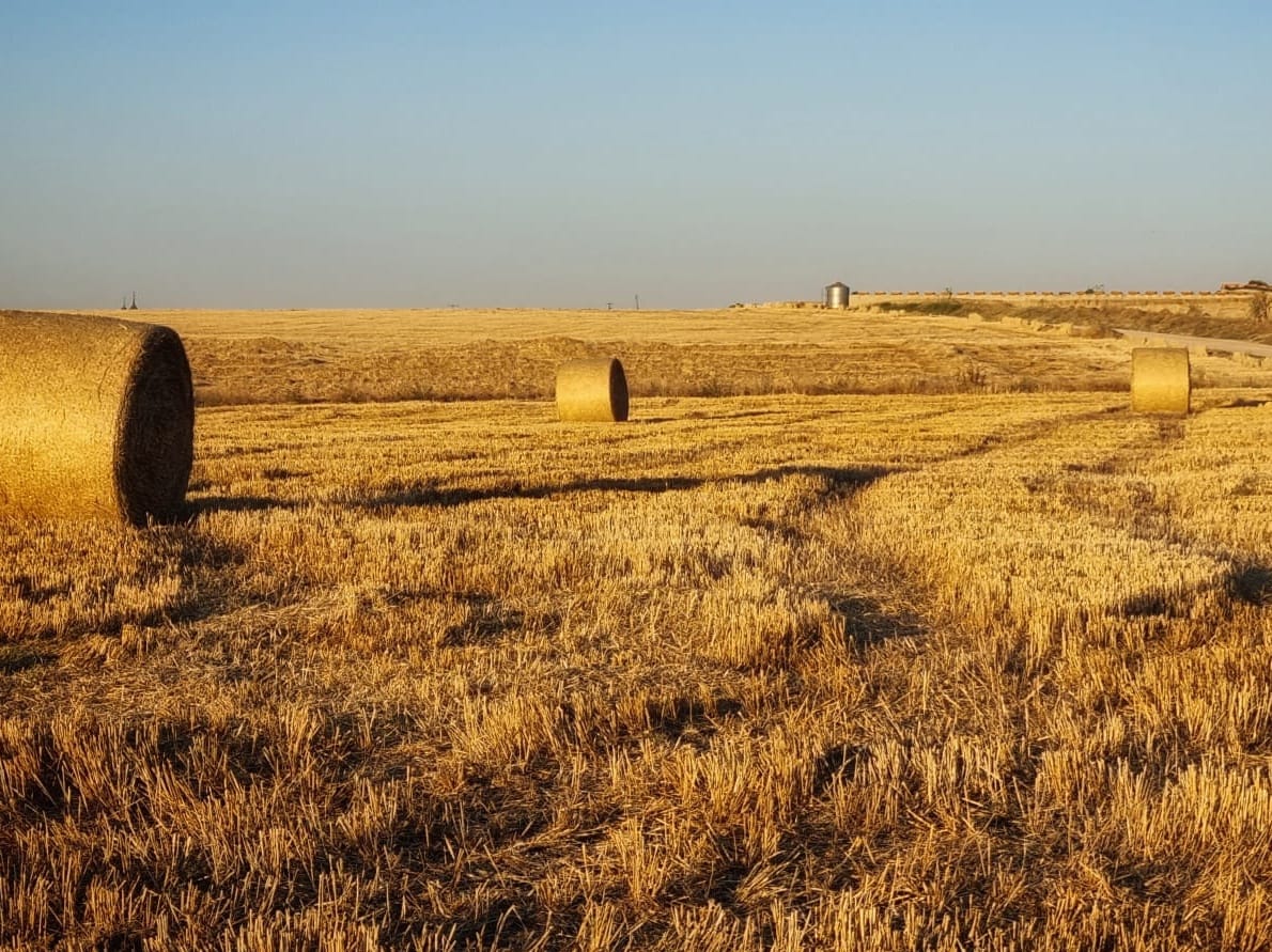 La productividad agrícola ha crecido en Europa un 43% desde 2015