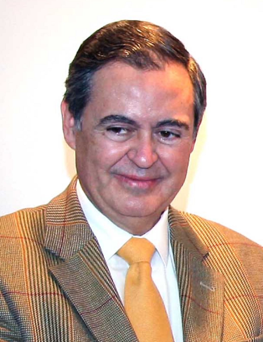 Juan Iranzo WIkipedia Juan Iranzo WIkipedia