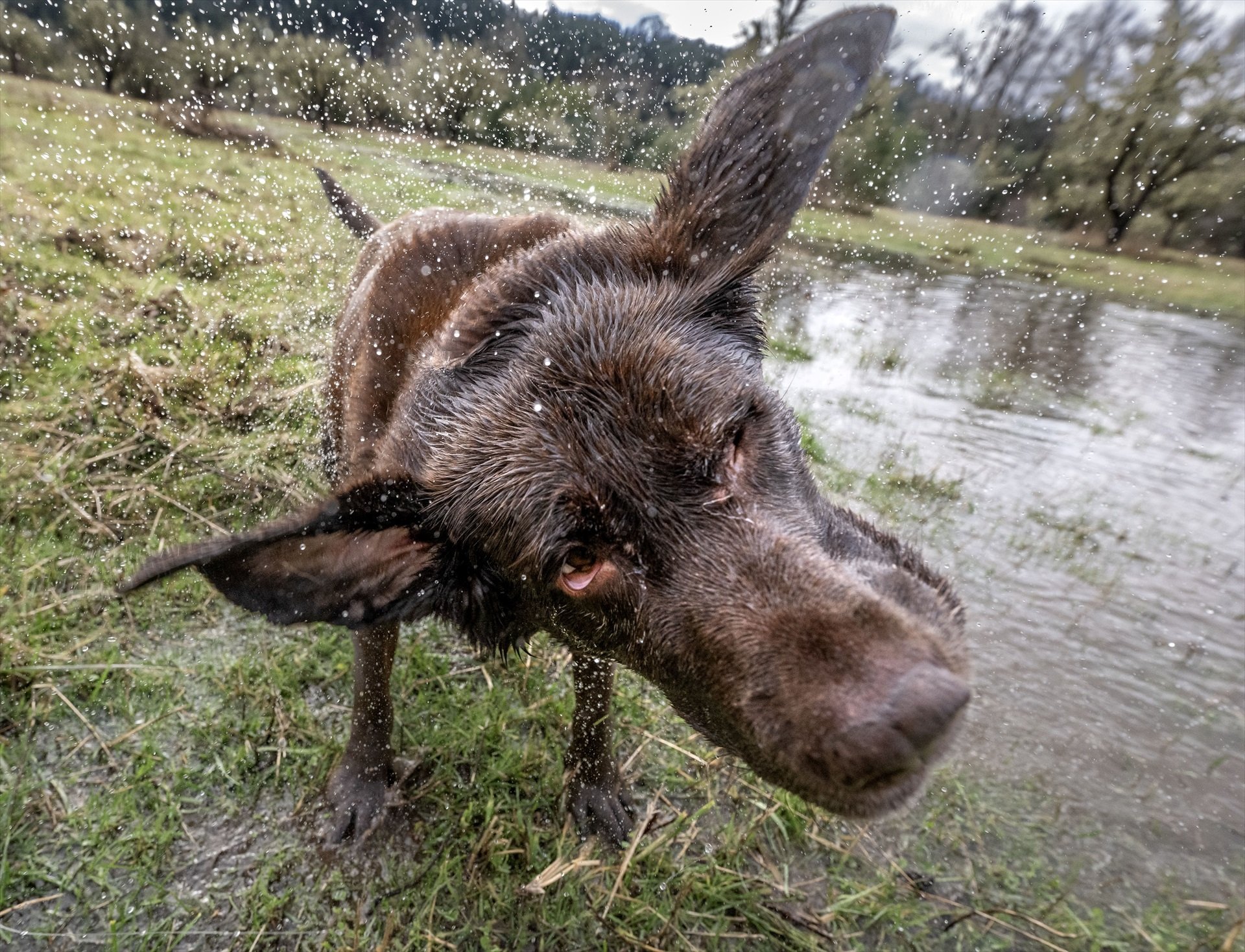 Elkton (Estats Units) Elkton (Estats Units)