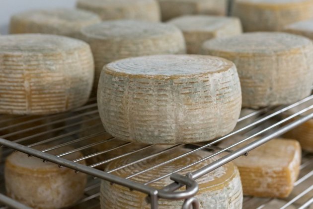 disen o sense tu tulo 2022 03 01t103041 830