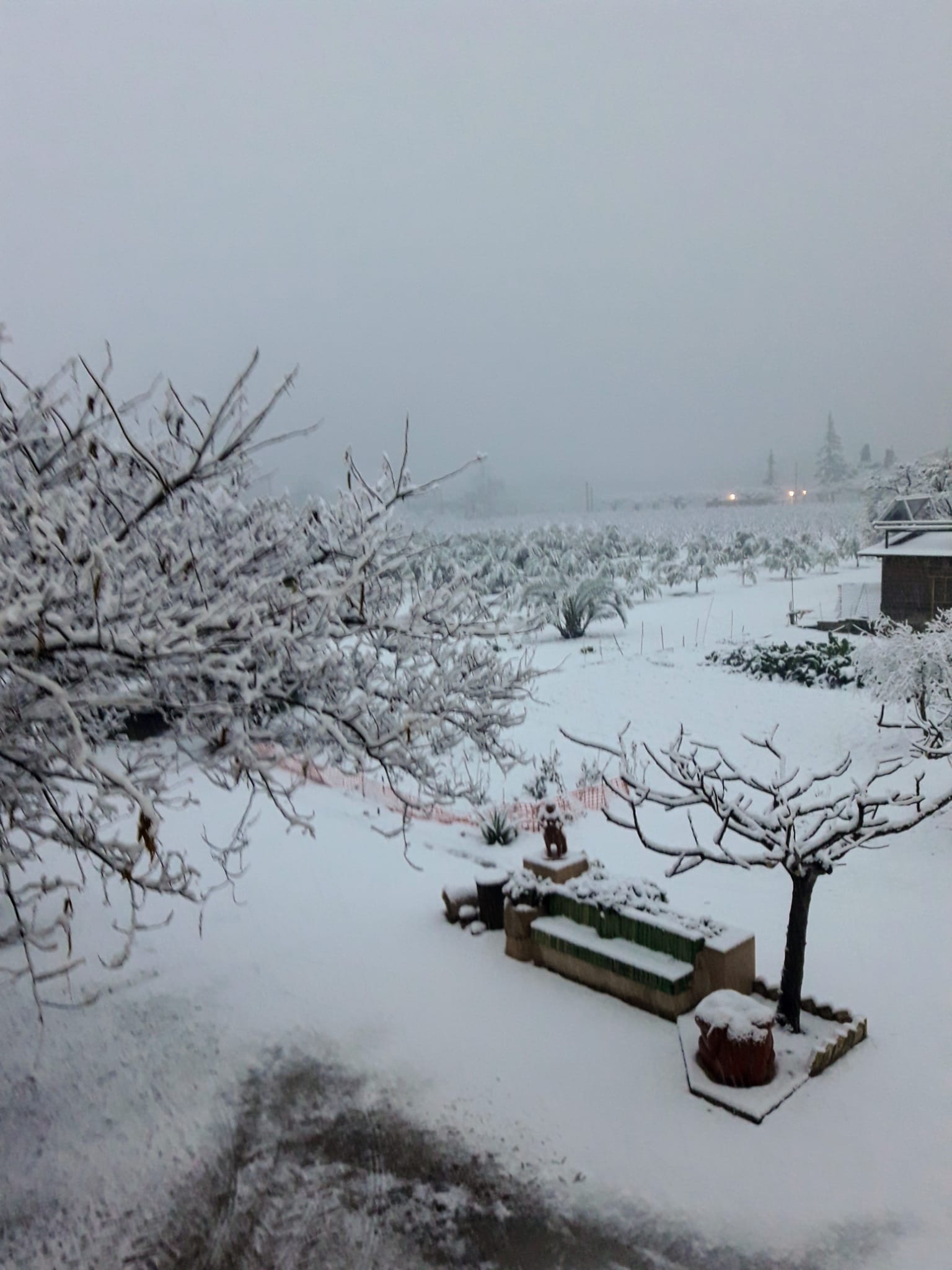 Nevada en Miravet temporal Filomena enero 2021 Foto José Antonio Balart Nevada en Miravet temporal Filomena enero 2021 Foto José Antonio Balart