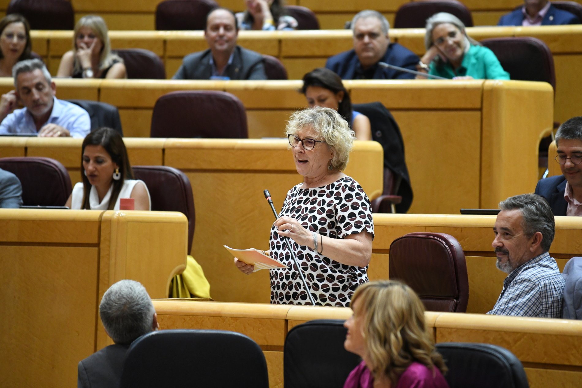 ERC lleva una iniciativa al Senado para eliminar el requisito de la nacionalidad para poder votar